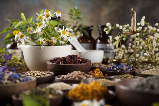 Fresh medicinal, healing herbs on wooden