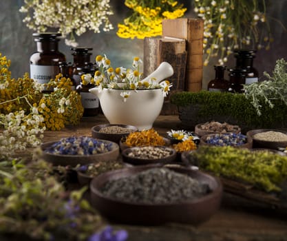 Herbs, berries and flowers with mortar, on wooden table background