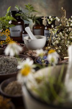 Healing herbs on wooden table, mortar and herbal medicine