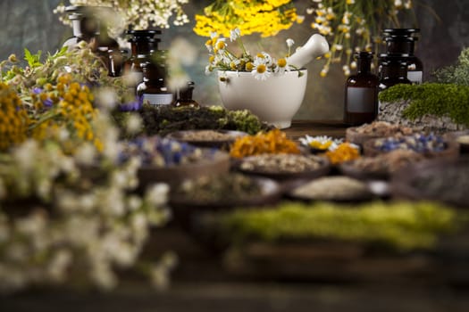 Herbs, berries and flowers with mortar, on wooden table background