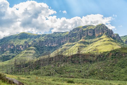 The view from the camp site at Injisuthi in the Kwazulu-Natal Drakensberg. Van Heiningen Pass is in the valley far right
