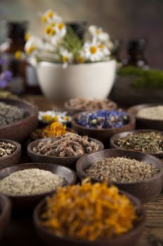 Fresh medicinal, healing herbs on wooden