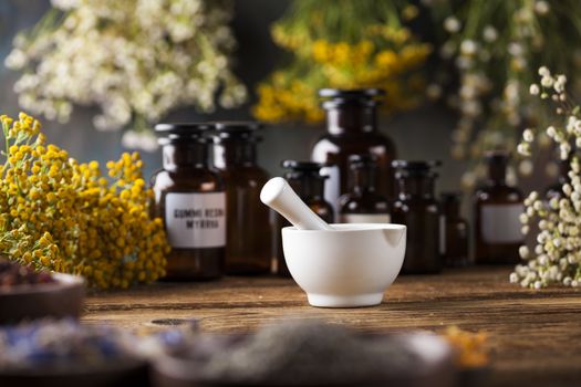 Fresh medicinal, healing herbs on wooden