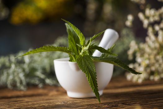 Natural medicine on wooden table background