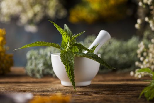 Fresh medicinal, healing herbs on wooden