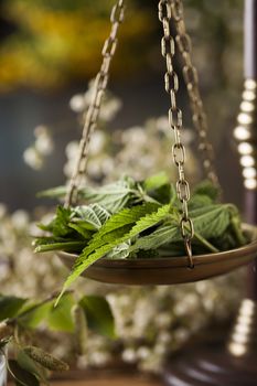 Natural medicine on wooden table background