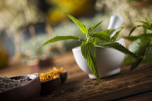 Herbal medicine on wooden desk background