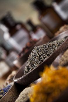 Fresh medicinal, healing herbs on wooden