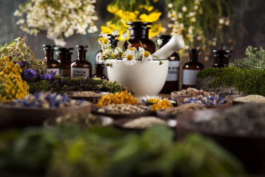 Fresh medicinal, healing herbs on wooden