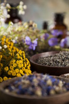 Fresh medicinal, healing herbs on wooden