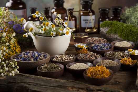 Fresh medicinal, healing herbs on wooden