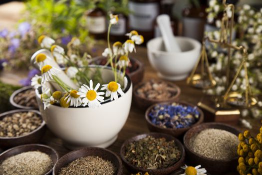 Fresh medicinal, healing herbs on wooden