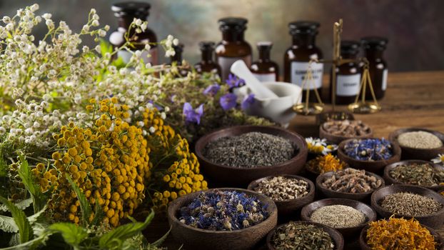 Fresh medicinal, healing herbs on wooden