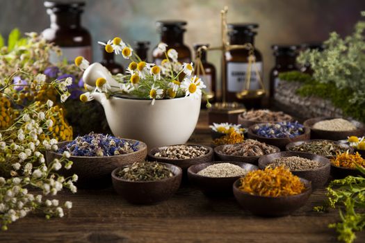 Fresh medicinal, healing herbs on wooden