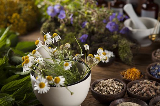 Fresh medicinal, healing herbs on wooden