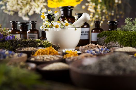 Fresh medicinal, healing herbs on wooden