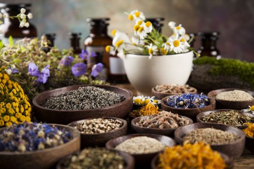 Fresh medicinal, healing herbs on wooden