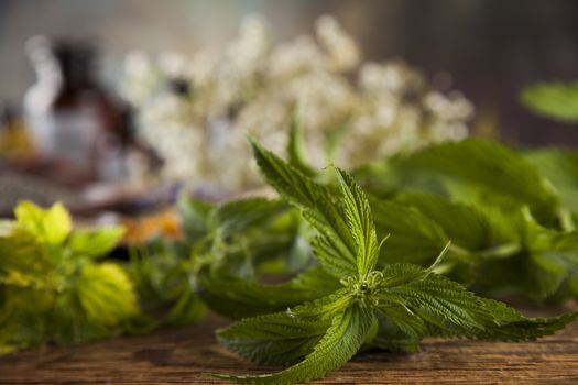 Fresh medicinal, healing herbs on wooden