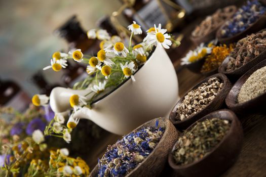 Fresh medicinal, healing herbs on wooden