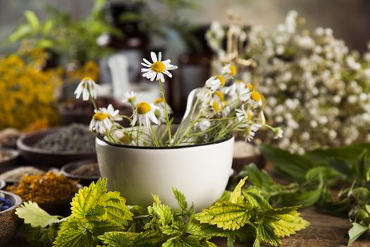 Fresh medicinal, healing herbs on wooden