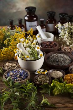 Herbal medicine on wooden desk background