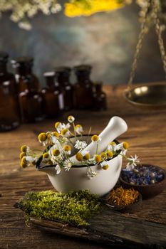 Herbs, berries and flowers with mortar, on wooden table background