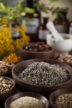 Healing herbs on wooden table, mortar and herbal medicine