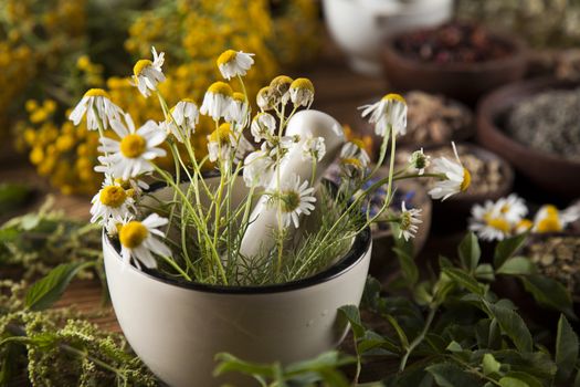 Natural medicine, herbs, mortar on wooden table background