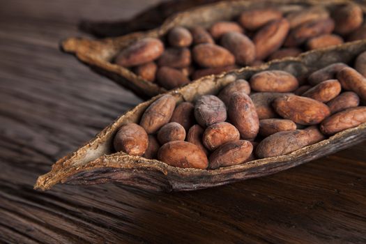 Cocoa pod on wooden table