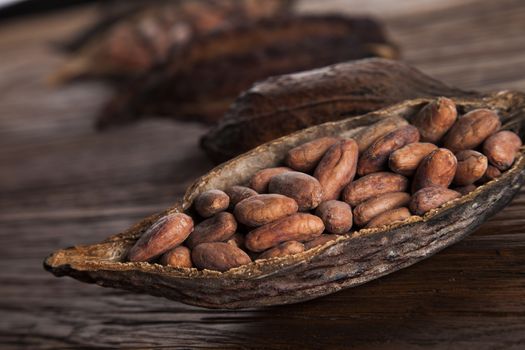 Cocoa pod on wooden table