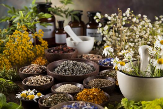 Fresh medicinal, healing herbs on wooden