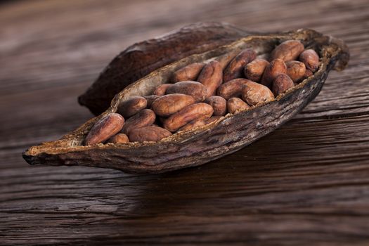 Cocoa pod on wooden background