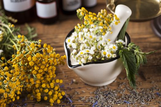 Herbs medicine,Natural remedy and mortar on vintage wooden desk background