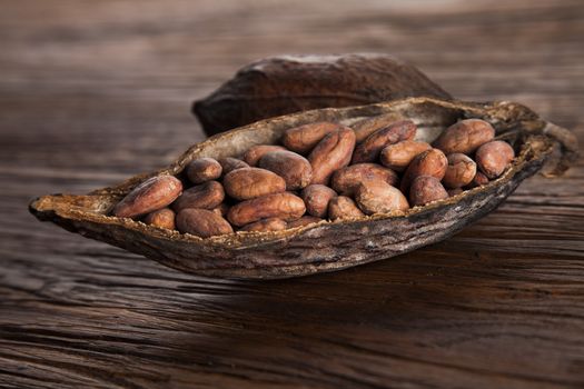 Cocoa pod on wooden background