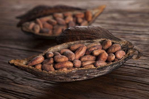 Cocoa pod on wooden background