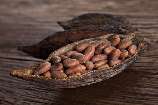 Cocoa pod on wooden table