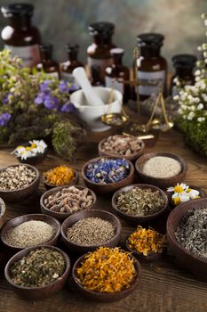 Fresh medicinal, healing herbs on wooden