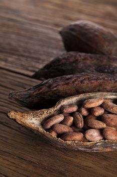 Cocoa pod and cocoa beans on the wooden table