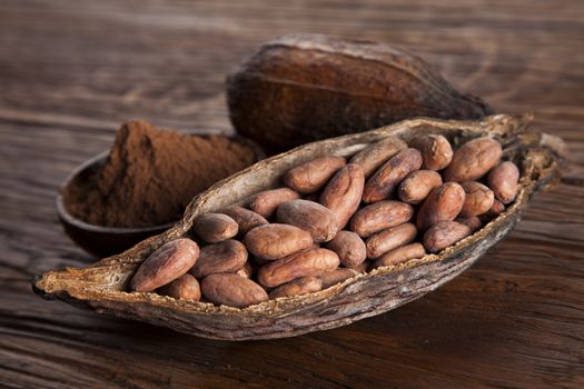 Cocoa beans in the dry cocoa pod fruit on wooden background