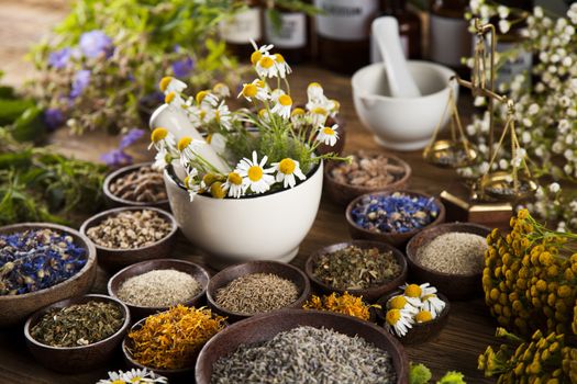 Healing herbs on wooden table, mortar and herbal medicine