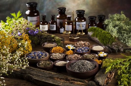 Fresh medicinal, healing herbs on wooden