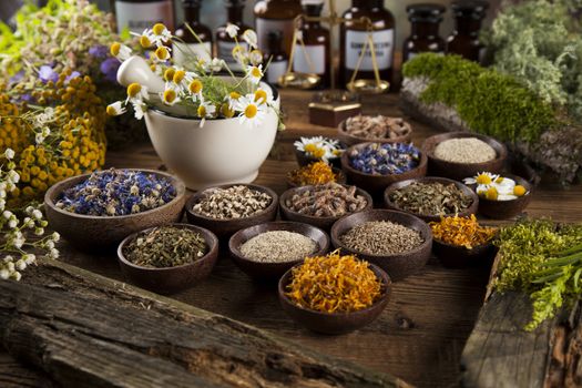 Fresh medicinal, healing herbs on wooden