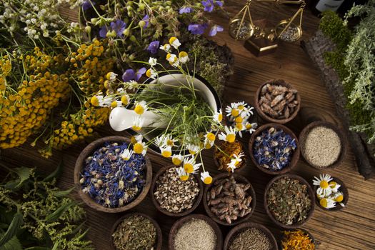 Fresh medicinal, healing herbs on wooden