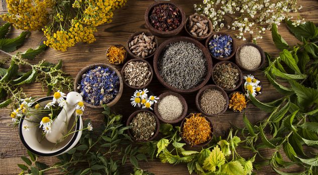 Natural medicine, herbs, mortar on wooden table background