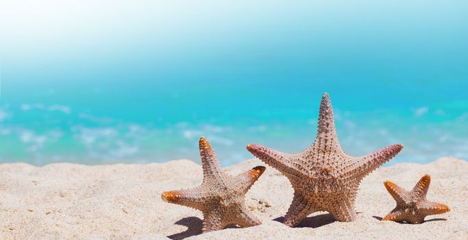 Family holiday concept - sea-stars walking on sand beach against waves background