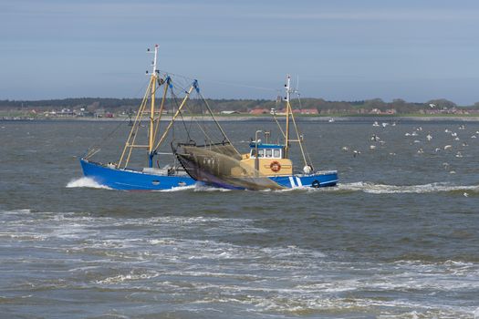 Commercial shrimp fishing boat on the UNESCO protected Wadden Sea near the island Ameland in the North of Netherlands
