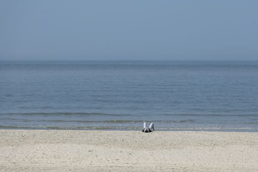 A single person who is sunbathing on the beach with the sea in the background
