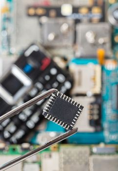 electronic chip in tweezers on background of the disassembled mobile phone