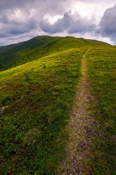 path through mountain ridge on an overcast day. lovely scenery of Runa mountain, Ukraine