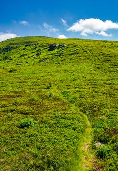 footpath through the grassy hills of the mountain. beautiful summer scenery in fine weather with some clouds on a blue sky